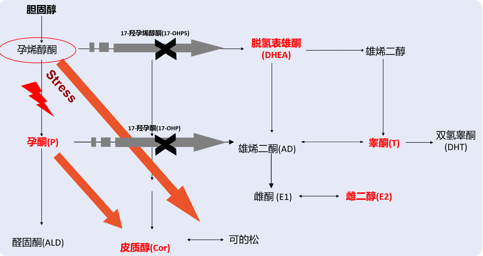 圖片 1.png