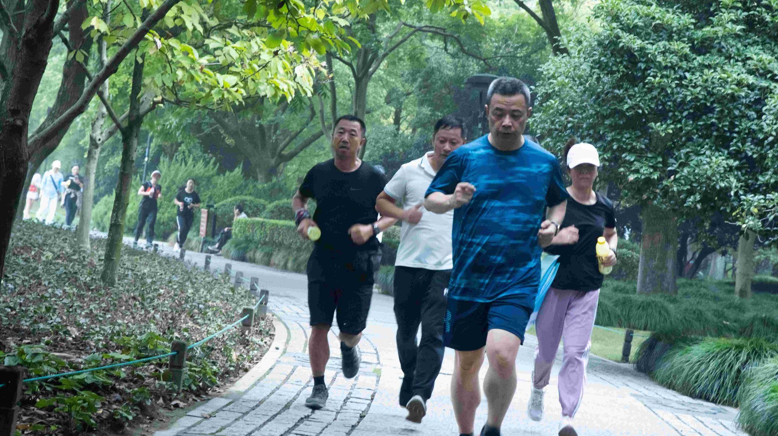 領(lǐng)跑.jpg