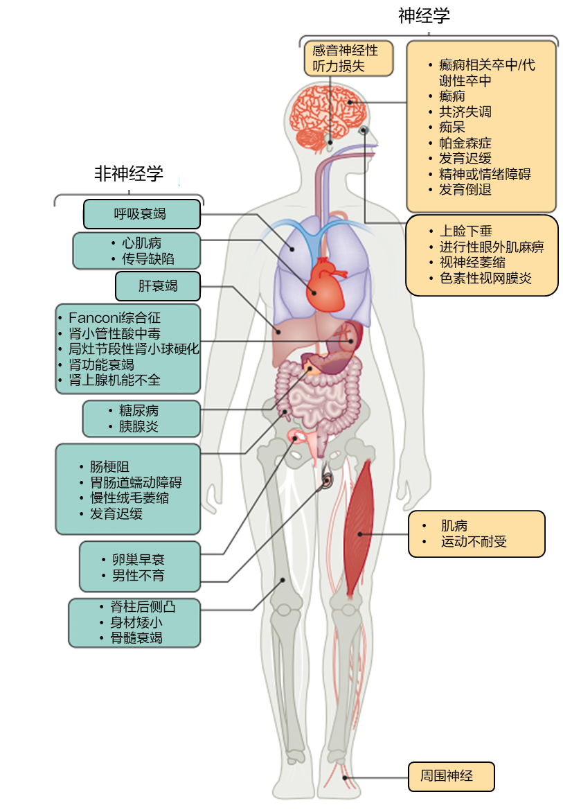 圖片 2.png