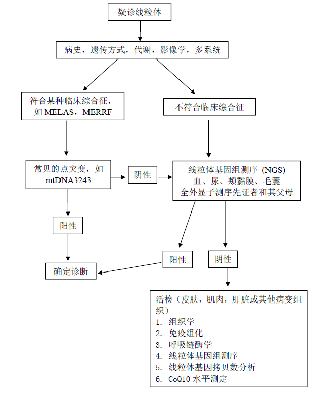 圖片 3.png