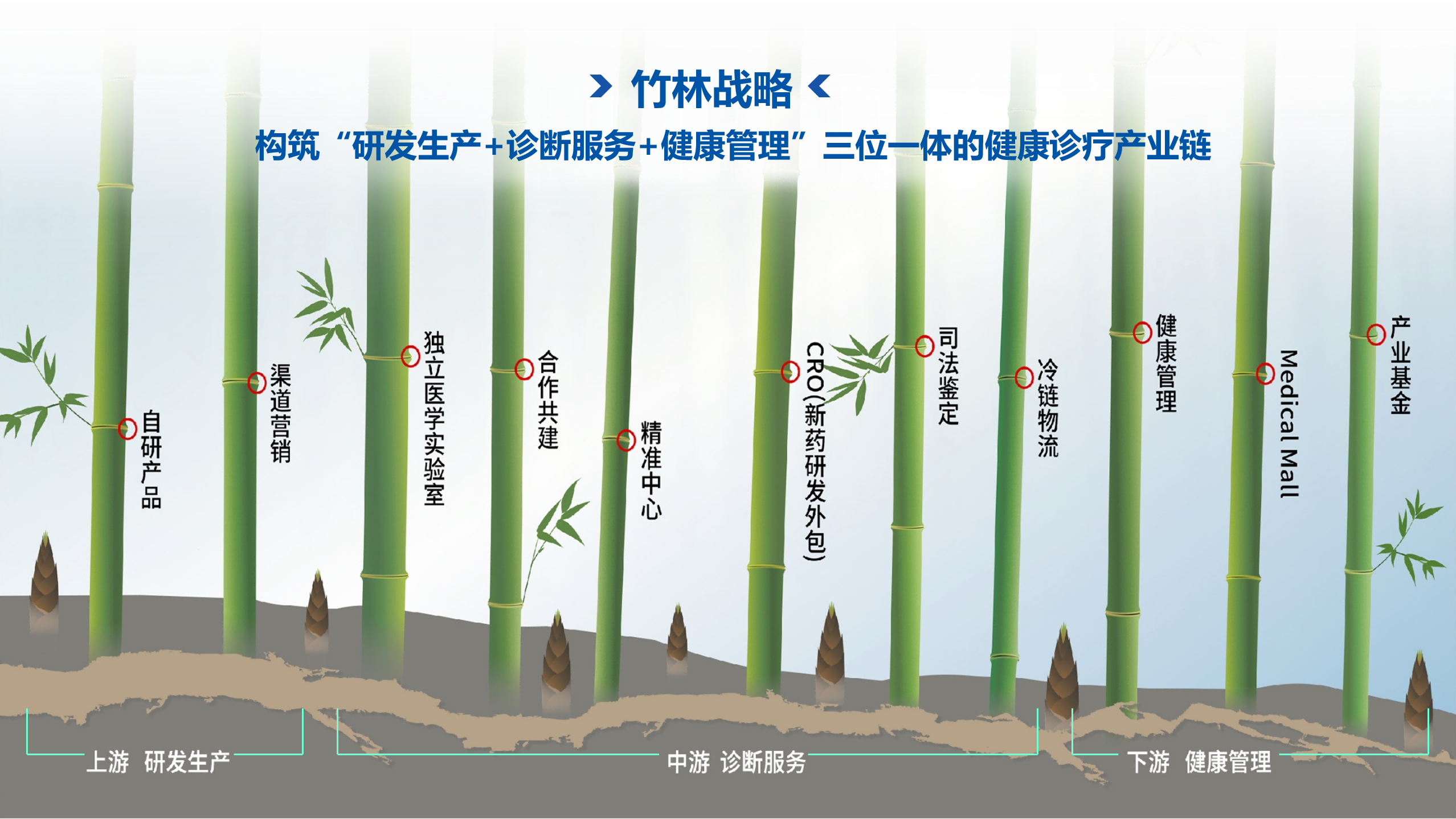 圖片1(1).png